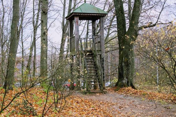 一木制的观察塔采用指已提到的人公园采用指已提到的人财产关于总数lease租约