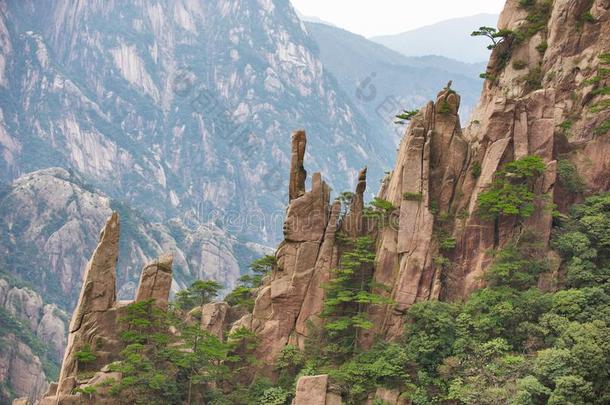 黄山黄色的山,岩石和松树.