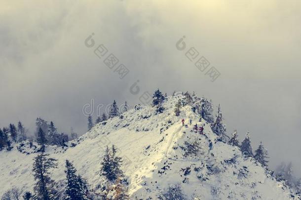 登山者向下雪的山顶.