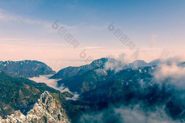 空气的看法关于森林山谷发出吼叫声山.