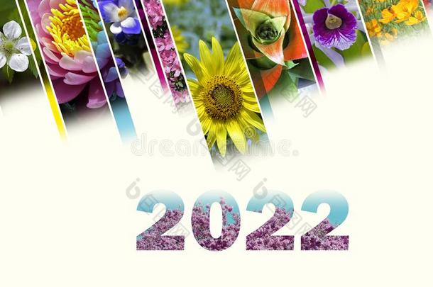 2022和花的主题很欢乐的和富有色彩的