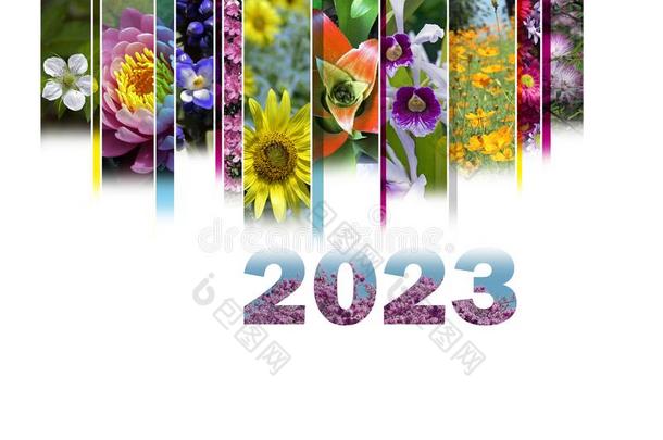 2023和花的主题很欢乐的和富有色彩的