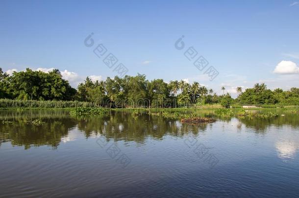 乡村一起<strong>th</strong>aumatin竹芋蛋白颏riverMaenam河<strong>th</strong>aumatin竹芋蛋白颏,镇帕洛姆,Thailand泰国