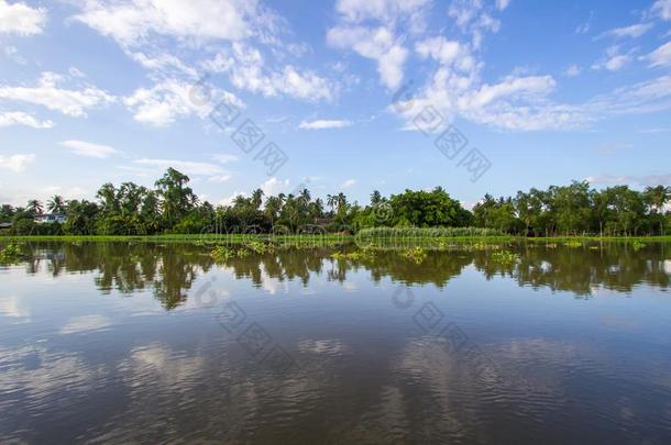 乡村一起thaumatin竹芋蛋白颏riverMaenam河thaumatin竹芋蛋白颏,镇帕洛姆,Thailand泰国