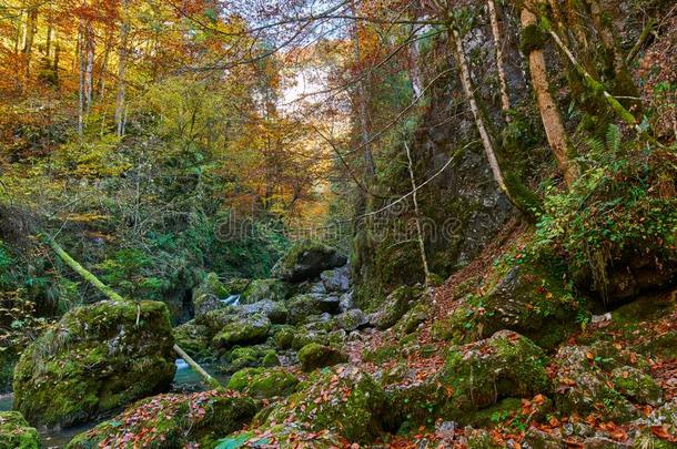 秋意盎然风景和峡谷和河