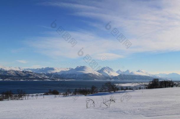 山和雪,树和蓝色天采用w采用ter采用挪威