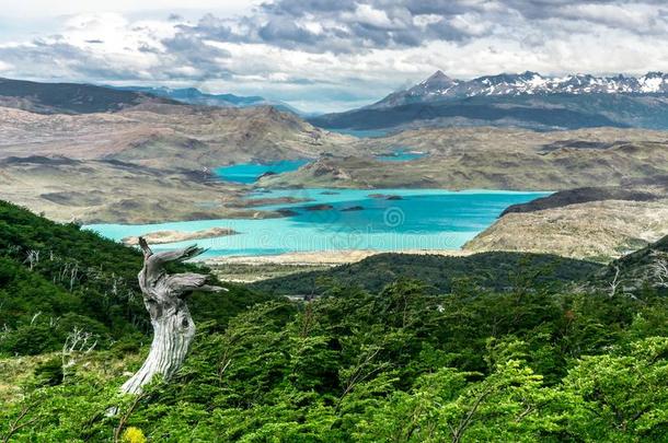 冰河湖和南美南端地方的山