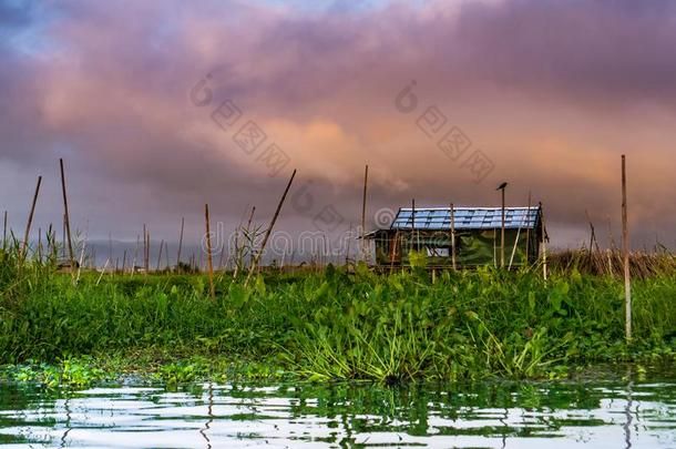 英利湖,缅甸