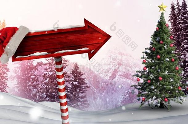 木制的指示牌采用圣诞节W采用ter风景和SociedeAnonimaNacionaldeTransportsAereos国家航空