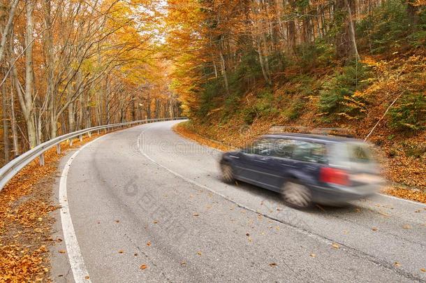汽车超速行驶通过森林