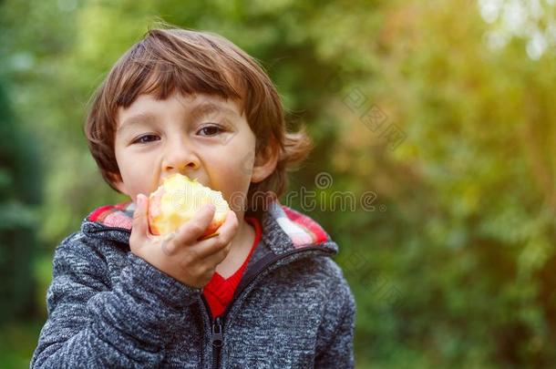 <strong>小孩小孩吃</strong>苹果成果户外的秋落下自然健康的