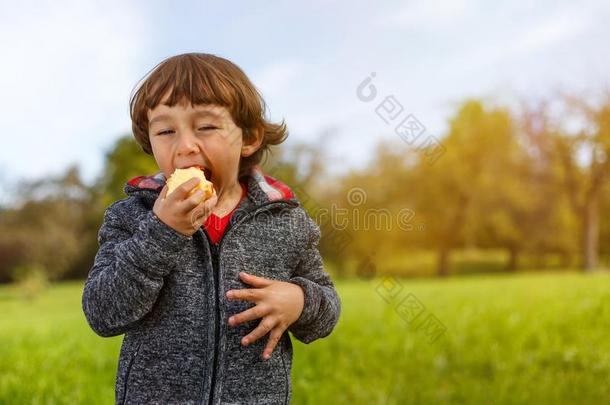 小孩小孩吃苹果成果户外的秋落下自然健康的