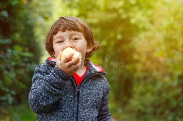 小的男孩<strong>小孩小孩吃苹果</strong>成果秋落下共空间Gobon蓬
