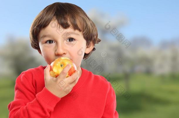 苹果<strong>吃小孩小孩</strong>成果健康的