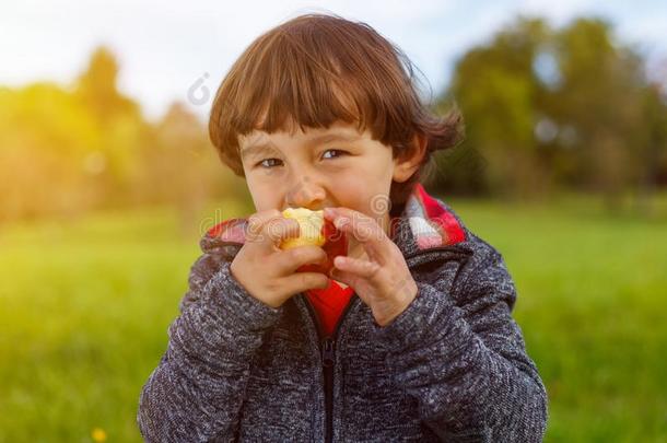 <strong>小孩小孩吃苹果</strong>成果户外的秋落下健康的