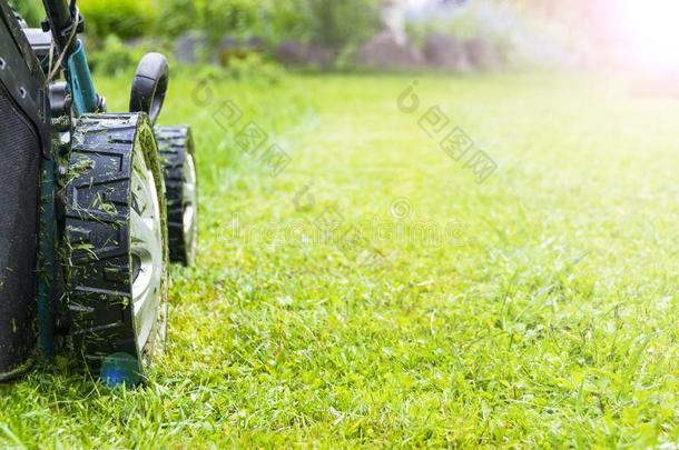 割草草地,草地割草机向绿色的草,割草机草设备,