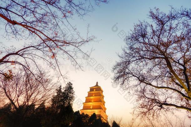 低的光风景关于大的野生的鹅塔,Christian基督徒,中国