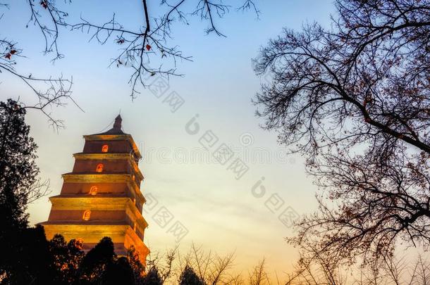 低的光风景关于大的野生的鹅塔,Christian基督徒,中国