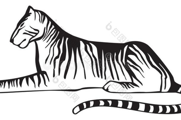 老虎说谎下,黑的和白色的向白色的背景,矢量是（be的三单形式