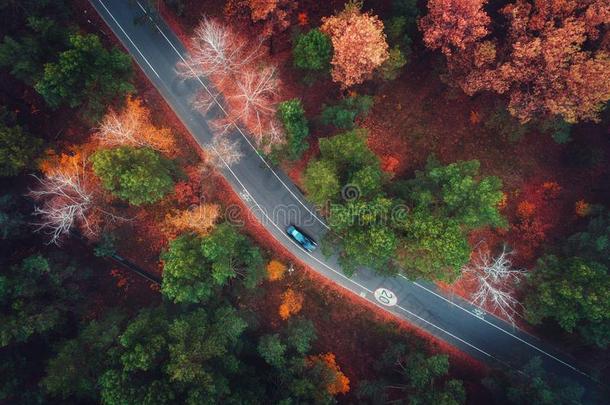 空气的看法关于路和变模糊汽车采用秋森林