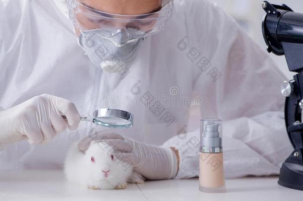 指已提到的人科学家<strong>做</strong>动物实验采用实验室和<strong>兔子</strong>