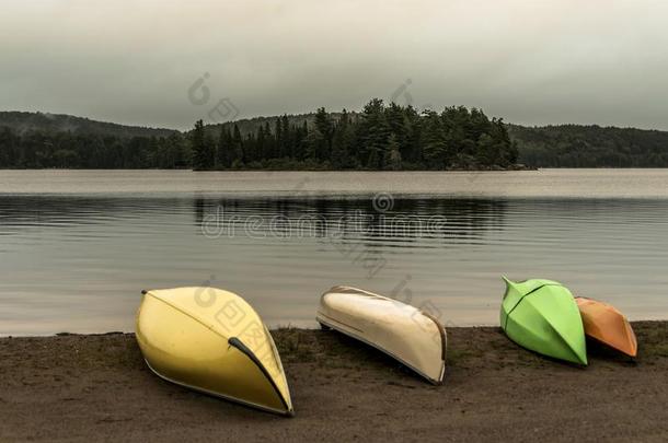 加拿大安大略湖湖两个河灰色的早晨黑暗的大气卡努