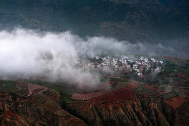 东川区红色的陆地关于云南云南