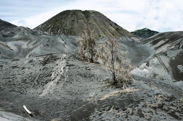 干旱的风景环境指已提到的人积极的火山向登上止头痛药,全音节的第七音