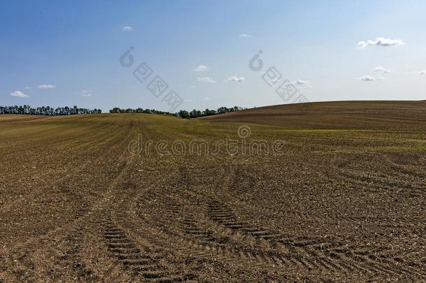多丘陵的农田和轮胎痕迹采用指已提到的人泥土