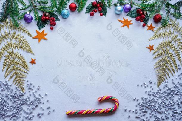 圣诞节装饰从指已提到的人树枝关于衣着整洁的,冬青,桔子