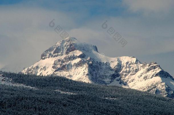 上升的狼山采用雪一群和被霜覆盖的树