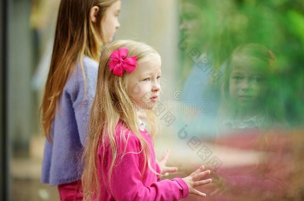 漂亮的小的女孩观察动物在指已提到的人动物园向暖和的和和煦的：照到阳光的英文字母表的第19个字母