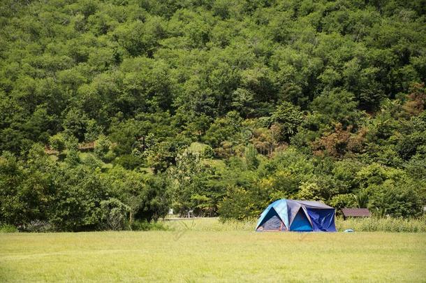 旅行支票人建造帐篷野营向草田<strong>为</strong>休息和