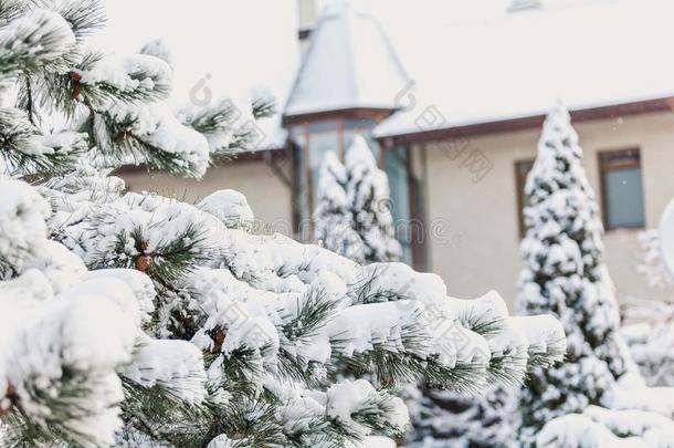 冬仙女故事.雪-大量的松树向背景关于城堡