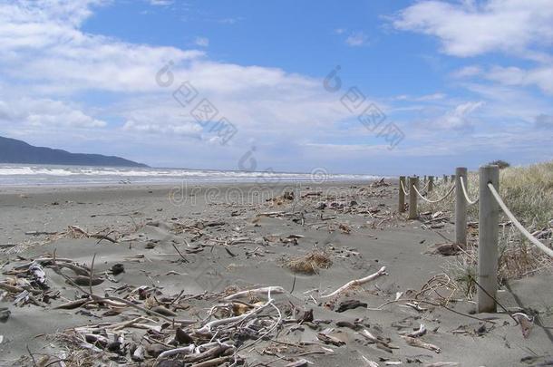 怀卡纳海滩在近处防水胶靴新的西兰岛