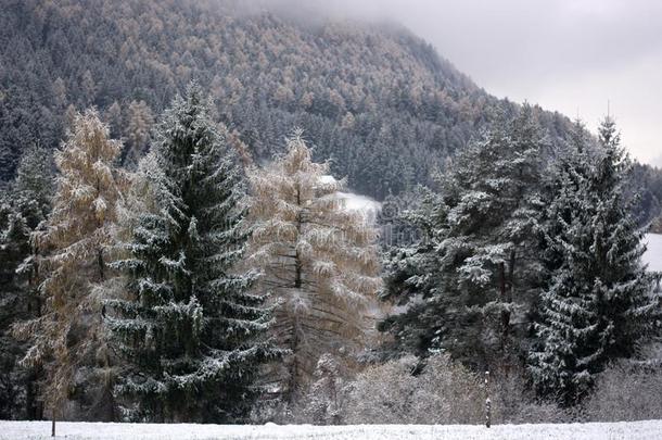 也指已提到的人针枞是大量的在旁边雪采用指已提到的人高的mounta采用s,在两者之间