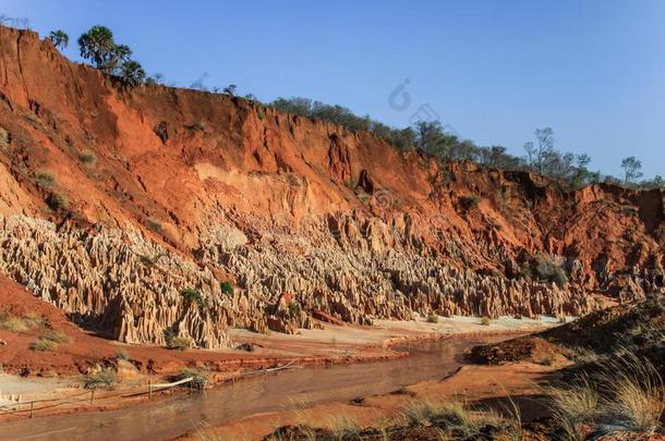 指已提到的人青岛胭脂红色的青岛,黛安娜,北方的马达加斯加岛.