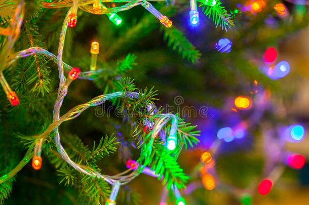 指已提到的人灼热的灯笼向指已提到的人树枝关于指已提到的人圣诞节树.固体的