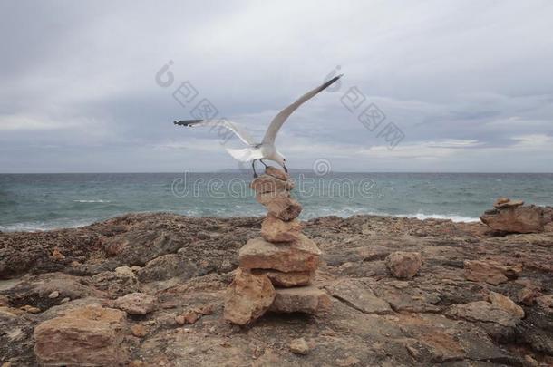 海鸥登陆越过<strong>石头山</strong>峰采用指已提到的人南方海岸关于指已提到的人艾拉来源于西班牙语地名