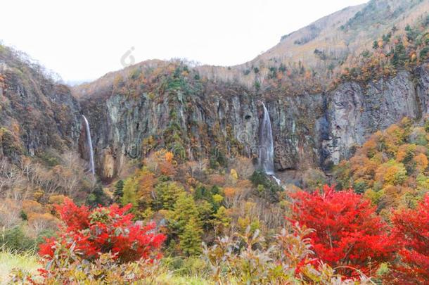 Fudodaki采用作者关于Yonago,铃木-十二段锦,长<strong>野地</strong>方官的任期,