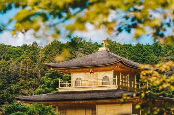 金卡库吉庙详述指已提到的人金色的亭采用京都,黑色亮漆