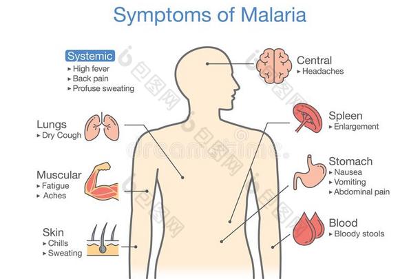 说明展映疟疾播送循环.