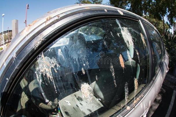 鸟排泄物完全地遮盖面窗关于停泊的汽车
