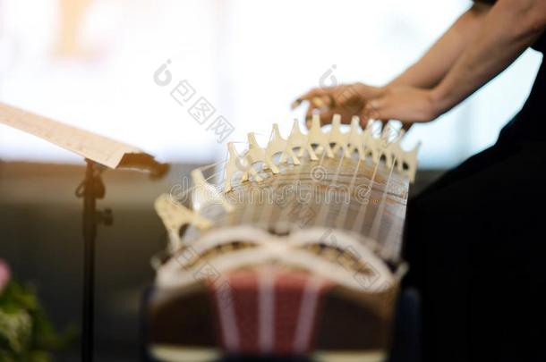 十三弦古筝-传统的音乐的仪器