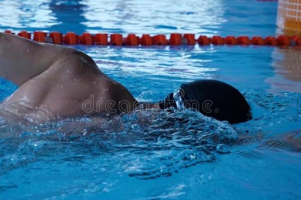 游泳水池运动爬行游泳者运动员横幅.男人做自由的