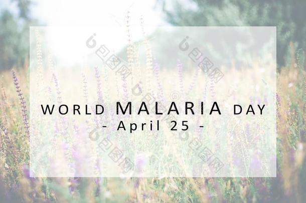 世界<strong>疟疾</strong>一天观念