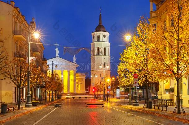 吉迪米纳斯前景在夜,维尔纽斯,立陶宛