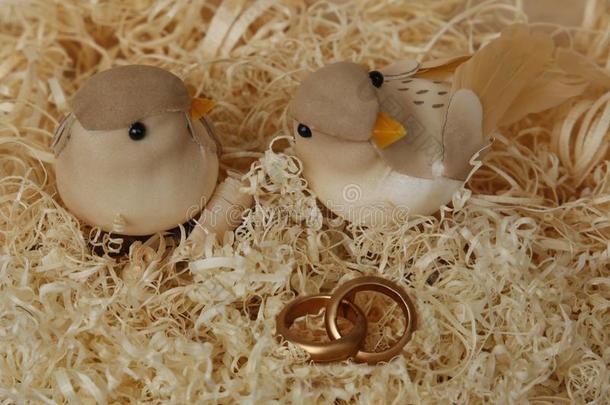 两个婚礼小鸟儿向木材薄片和婚礼戒指