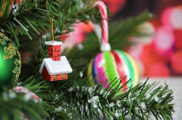 圣诞节摄影照片关于树树枝和小的红色的int.引人注意