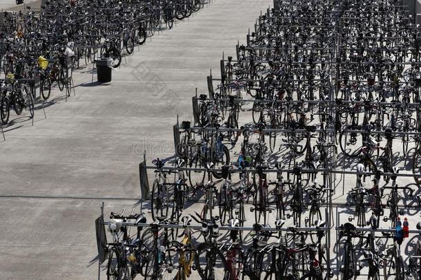海关于自行车在之前自行车赛跑采用麦迪逊自行车接力赛Wiscons采用
